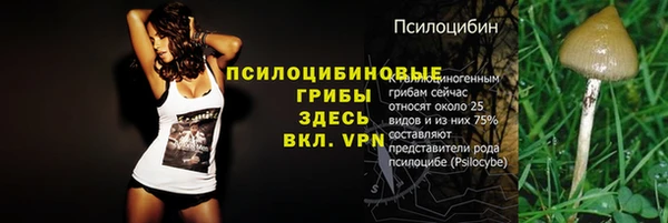 соль курить ск Алзамай