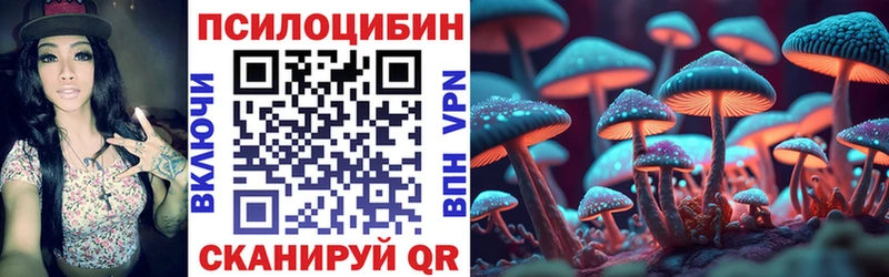 Псилоцибиновые грибы мицелий  купить наркоту  Бакал 